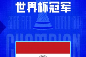 实时美国vs波黑低调看直播